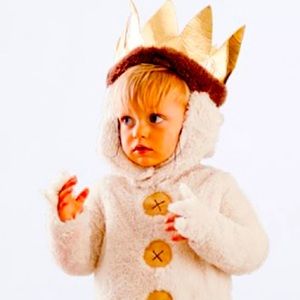 Pottery Barn Kids Max: Where the Wild Things Are Costume Size 3T